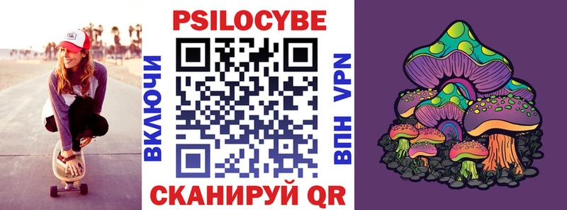 наркотики Вытегра Галлюциногенные грибы Cubensis